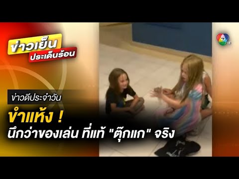 ขำแห้ง ! นึกว่าของเล่น ที่แท้ “ตุ๊กแก” ตัวจริง | ข่าวดีประจำวัน