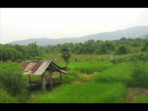 Thai Isaan song Pornsak Luk thung