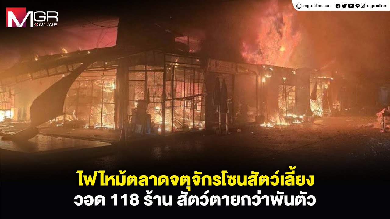 ไฟไหม้ตลาดจตุจักรโซนสัตว์เลี้ยง วอด 118 ร้าน สัตว์ตายกว่าพันตัว