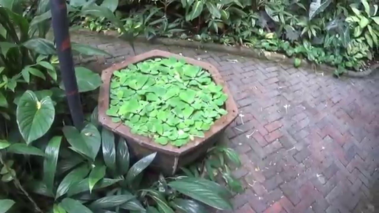 maison de Jim Thomson à Bangkok