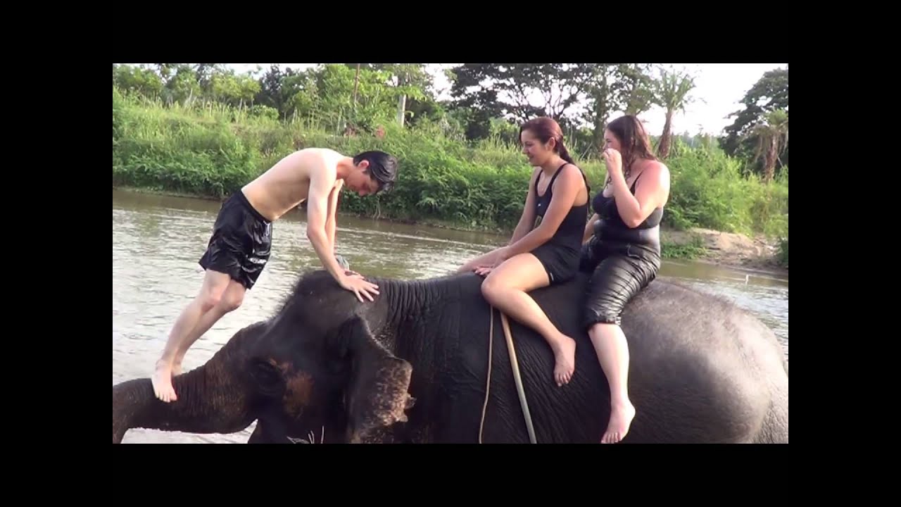 Elephant Adventure In Thailand