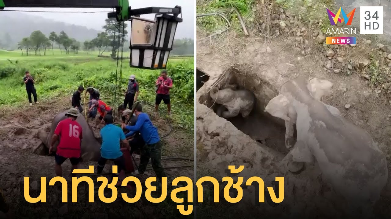 นาทีชีวิตเจ้าหน้าที่ช่วย 2 ช้างป่าแม่ลูก ตกท่อระบายน้ำ | ข่าวเที่ยงอมรินทร์ | 13 ก.ค.65