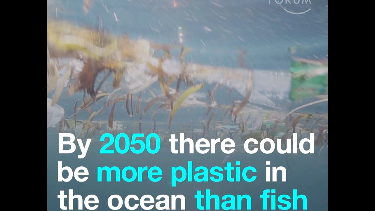 By 2050 there could be more plastic in the ocean than fish