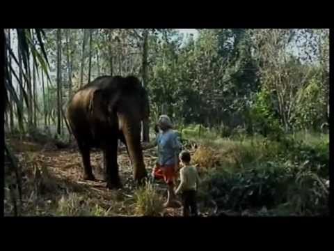 GANESHAPARK Les éléphants de François