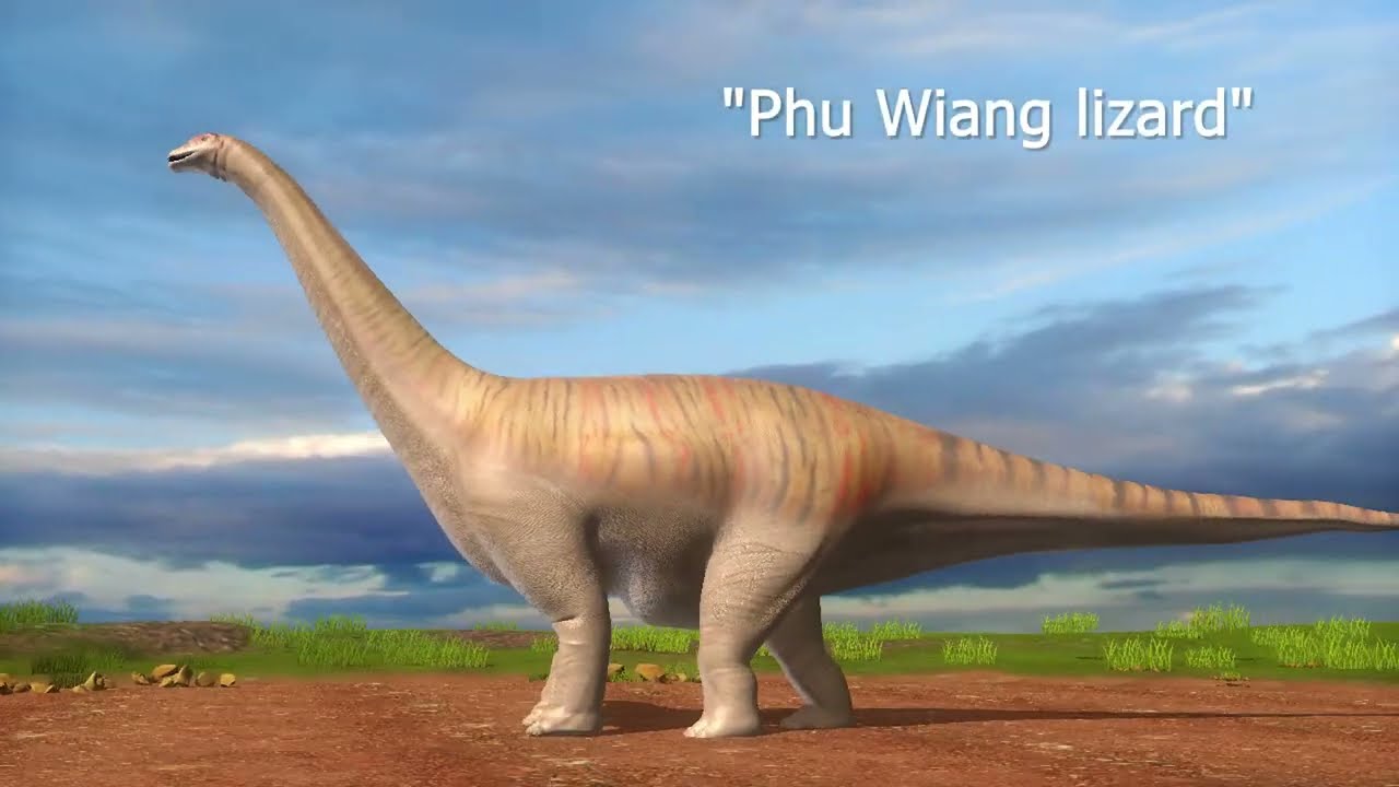 Phuwiangosaurus #short