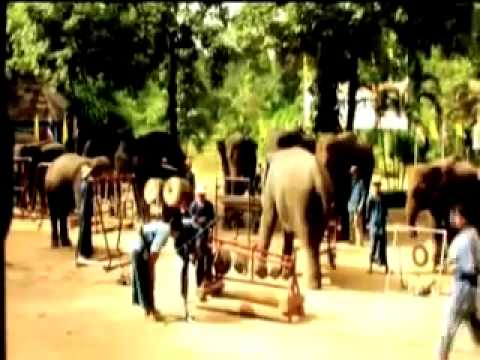 Thai Elephant Orchestra Part 1: Dave Soldier & Richard Lair