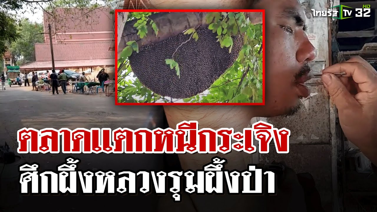 ชาวบ้านหนีวุ่น! ผึ้งหลวงเจ้าถิ่นรุมผึ้งป่า | 20 มี.ค. 68 | ไทยรัฐนิวส์โชว์