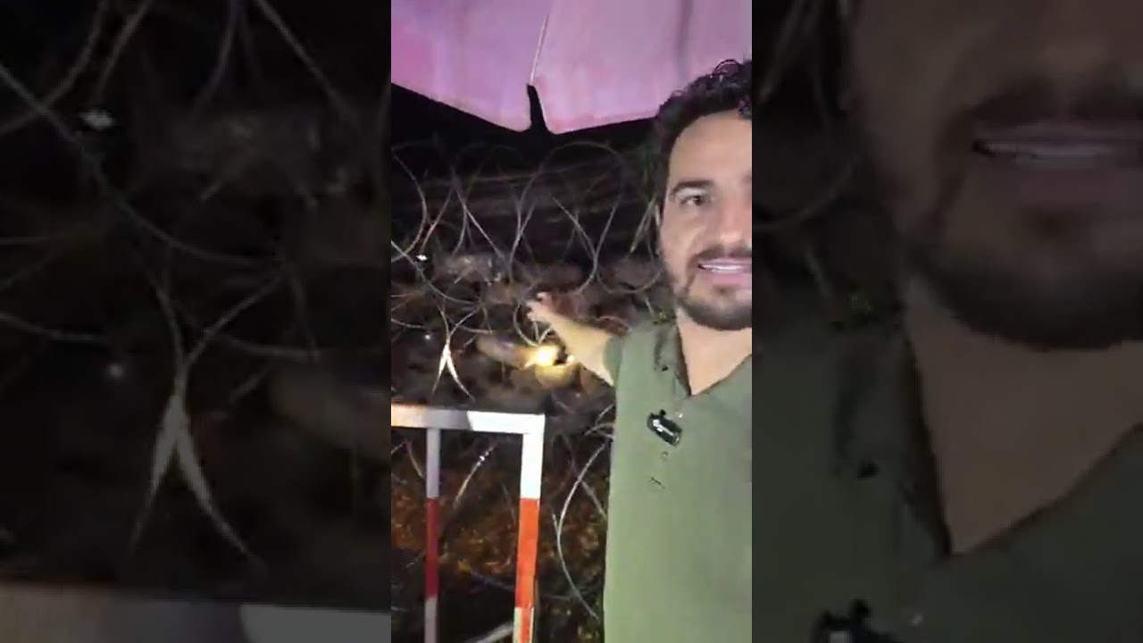 Truth Hidden by Most Global Media at the Cambodia-Thailand Border Revealed by Michael B. Alfaro