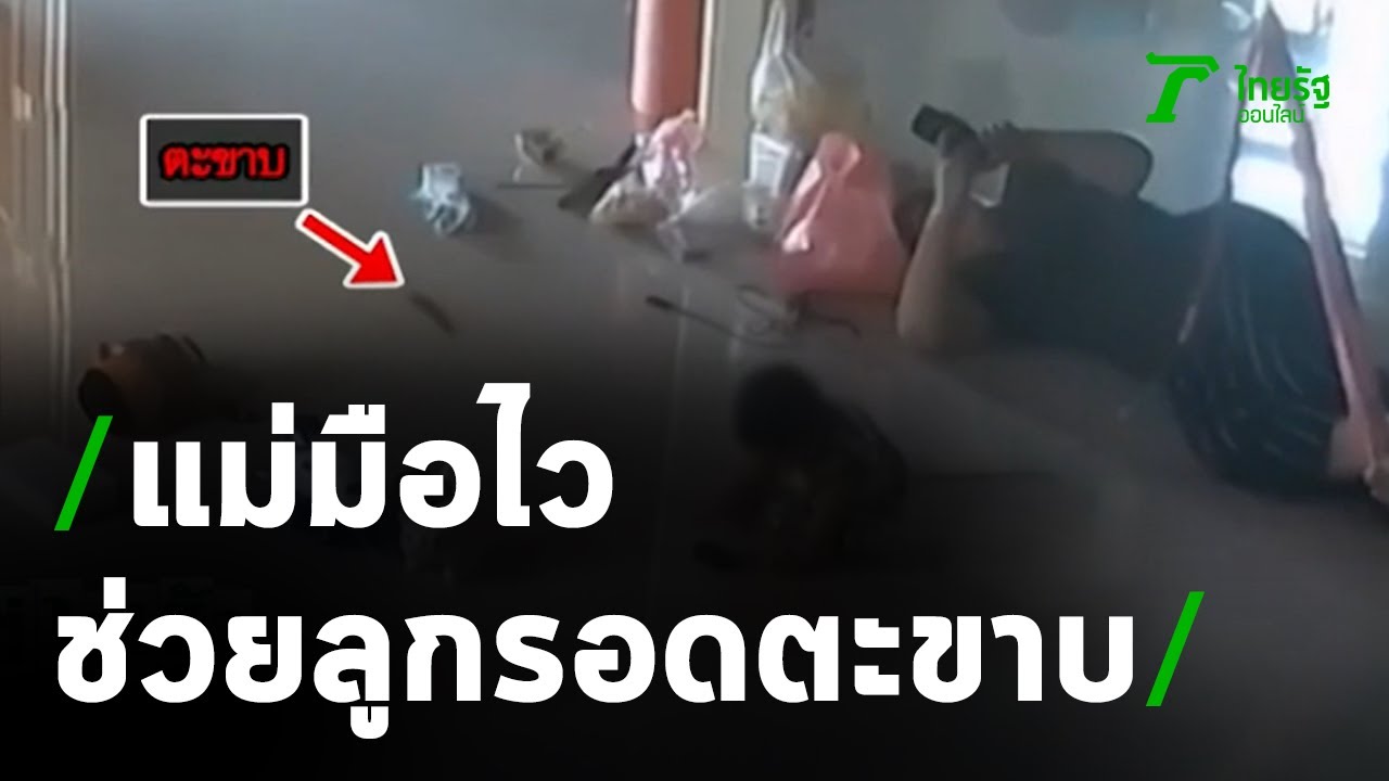 คลิประทึก  ตะขาบเลื้อยเข้าหาเด็กในบ้าน | 27-11-63 | ข่าวเช้าหัวเขียว