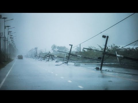 Thaïlande : la tempête Pabuk rétrogradée en dépression