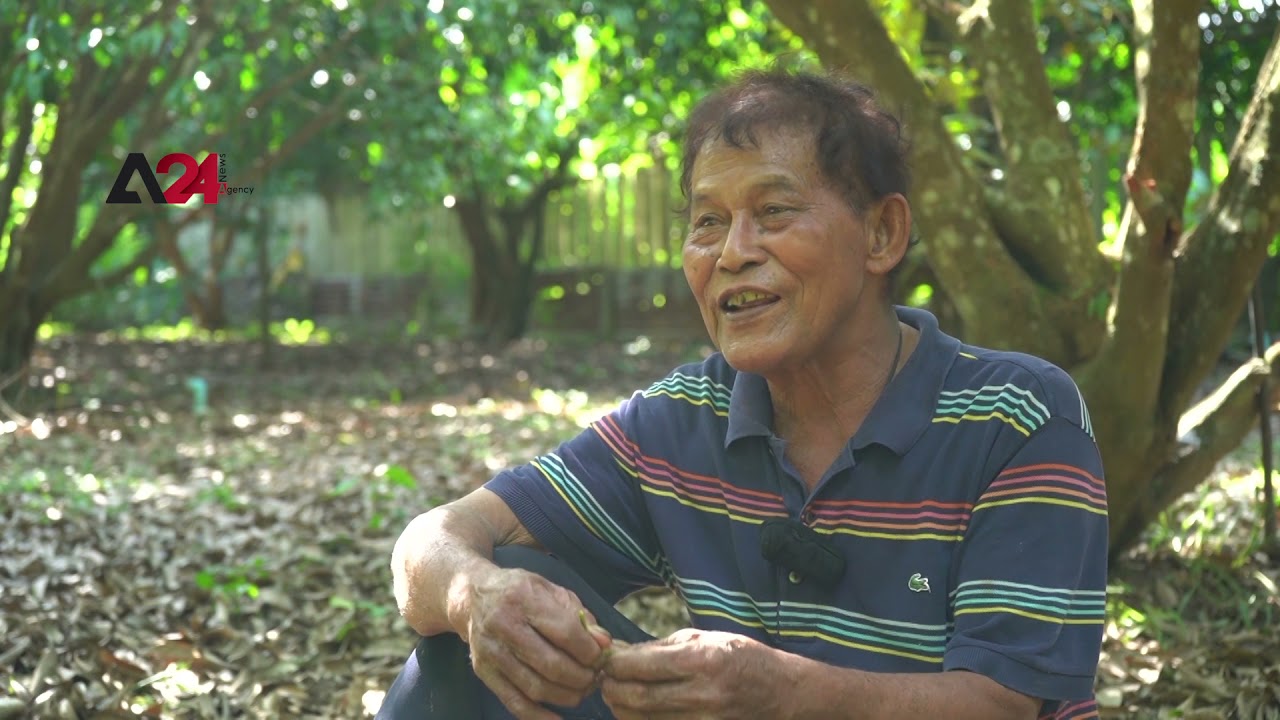 Thailand - Kratom, Thailand’s next strategy to fight drugs