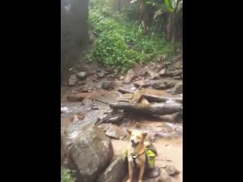 Dtaat Mook Waterfall
