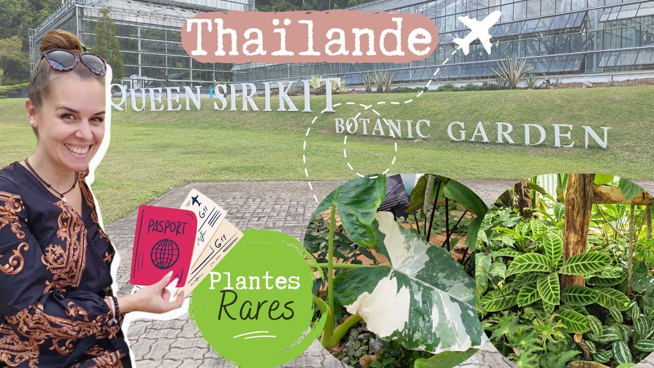 Jardin botanique Royal à Chiang Mai: Queen Sirikit Botanical garden