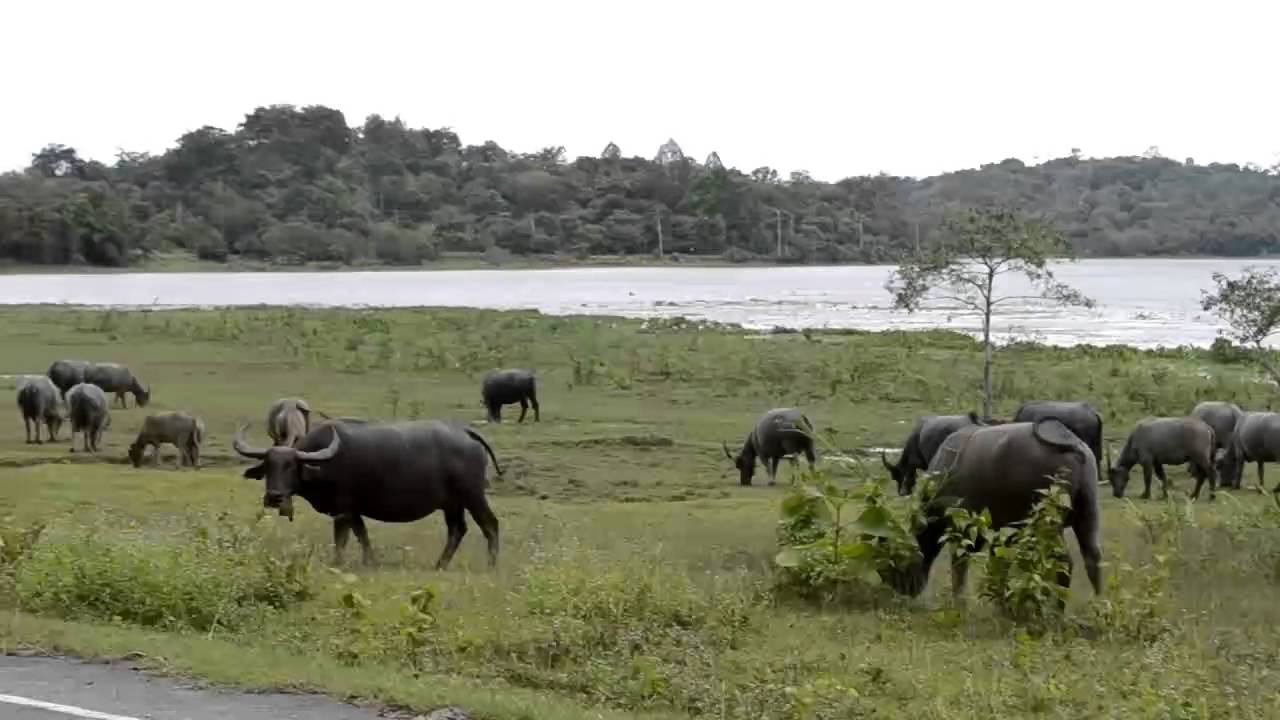 Exploring Chiang Saen