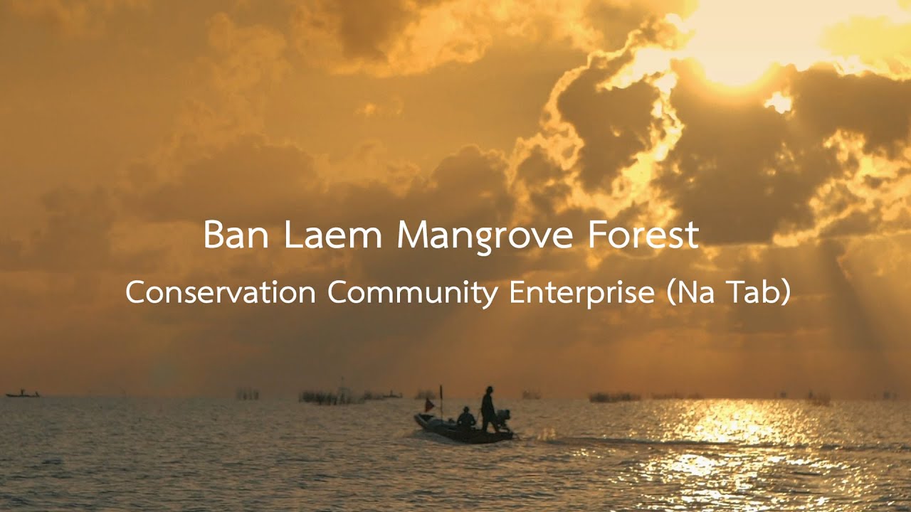 Ban Laem Mangrove Forest Conservation Community Enterprise (Na Tab) - Thailand Tourism Awards