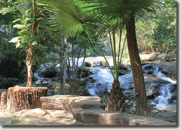 jardin-botanique-de-la-reine-sirikit-1 jardin-botanique-de-la-reine-sirikit-1