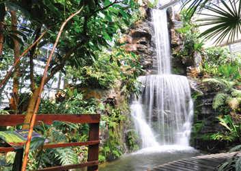 jardin-botanique-de-la-reine-sirikit-4 jardin-botanique-de-la-reine-sirikit-4