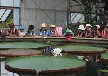 jardin-botanique-de-la-reine-sirikit-6 jardin-botanique-de-la-reine-sirikit-6