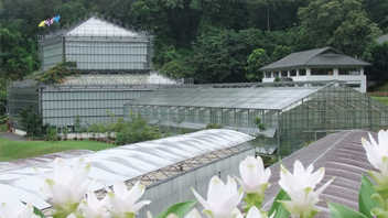 jardin-botanique-de-la-reine-sirikit-8 jardin-botanique-de-la-reine-sirikit-8