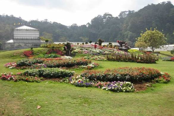 Le jardin botanique de la reine Sirikit à Chiang Mai en Thaïlande