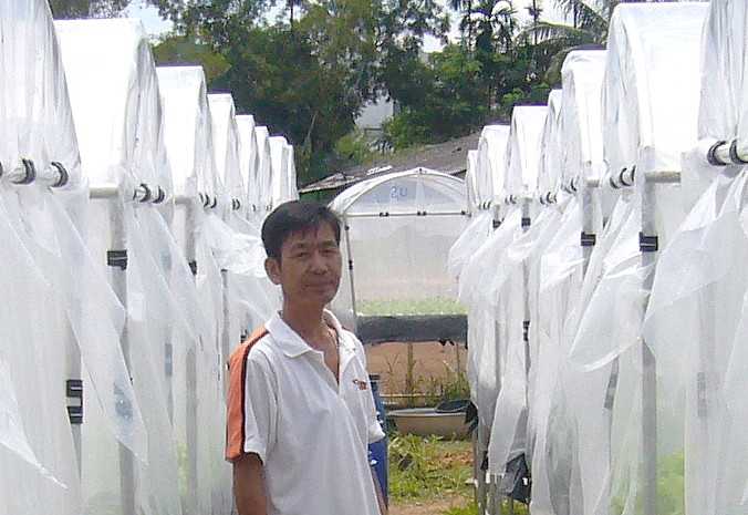 La culture hydroponique en Thaïlande 4 La Culture Hydroponique en Thaïlande