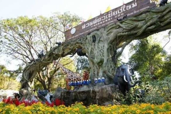 Le zoo de Chiang Mai