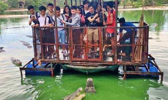 Une ferme aux crocodiles fermée à cause de photos choquantes !