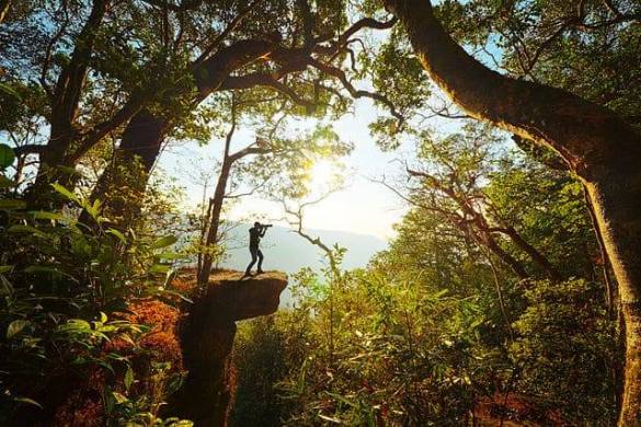 Visiter le parc national de Khao Yai en Thaïlande, le guide complet