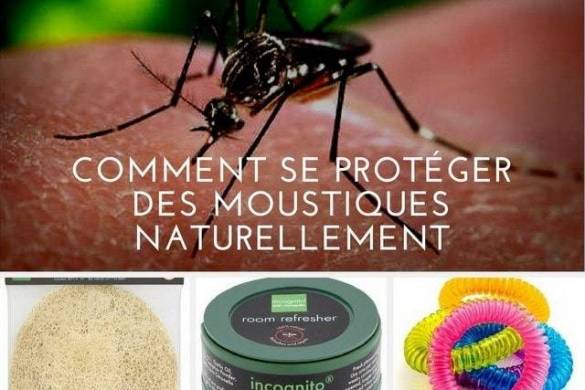 Remèdes anti-moustique naturel : 7 méthodes pour se protéger