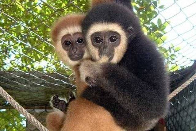 Phuket, le guide complet pour découvrir la Perle d'Andaman