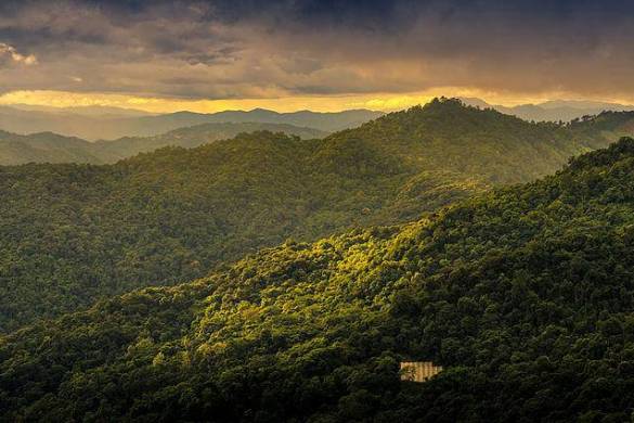 Le Parc national de Doi Suthep-Pui à Chiang Mai en Thaïlande