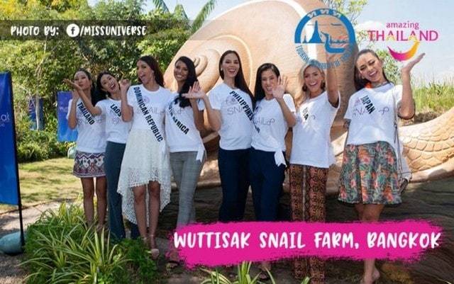 Miss Univers Ferme des escargots de Wuttisak
