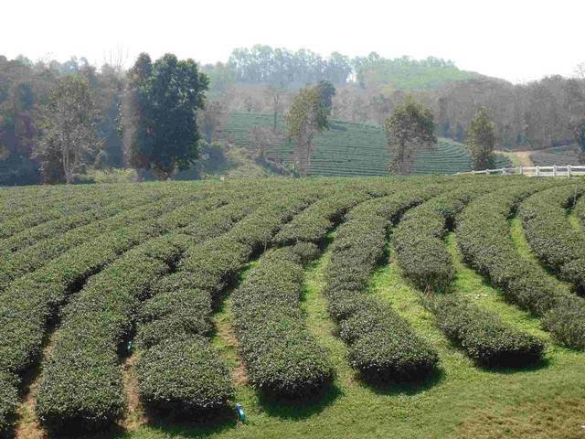 Forum Thaïlande 5 0219p2190104b