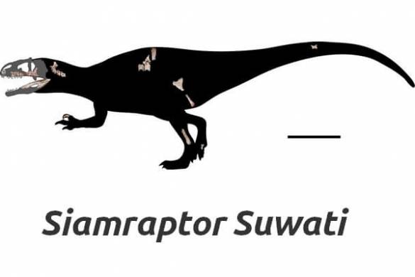 Le Siamraptor : une nouvelle espèce de dinosaure découverte en Thaïlande