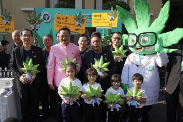 Pourquoi la marijuana à usage médicale est-elle une priorité pour la Thaïlande ?