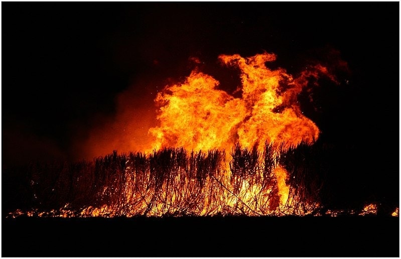 La Thaïlande adopte 7 nouvelles lois pour lutter contre la pollution de l'air 4 La Thaïlande adopte 7 nouvelles lois pour lutter contre la pollution de l'air