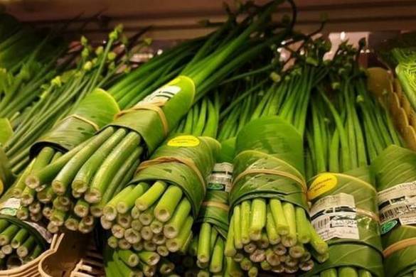 Les grandes entreprises de Thaïlande se joignent à la lutte contre le plastique