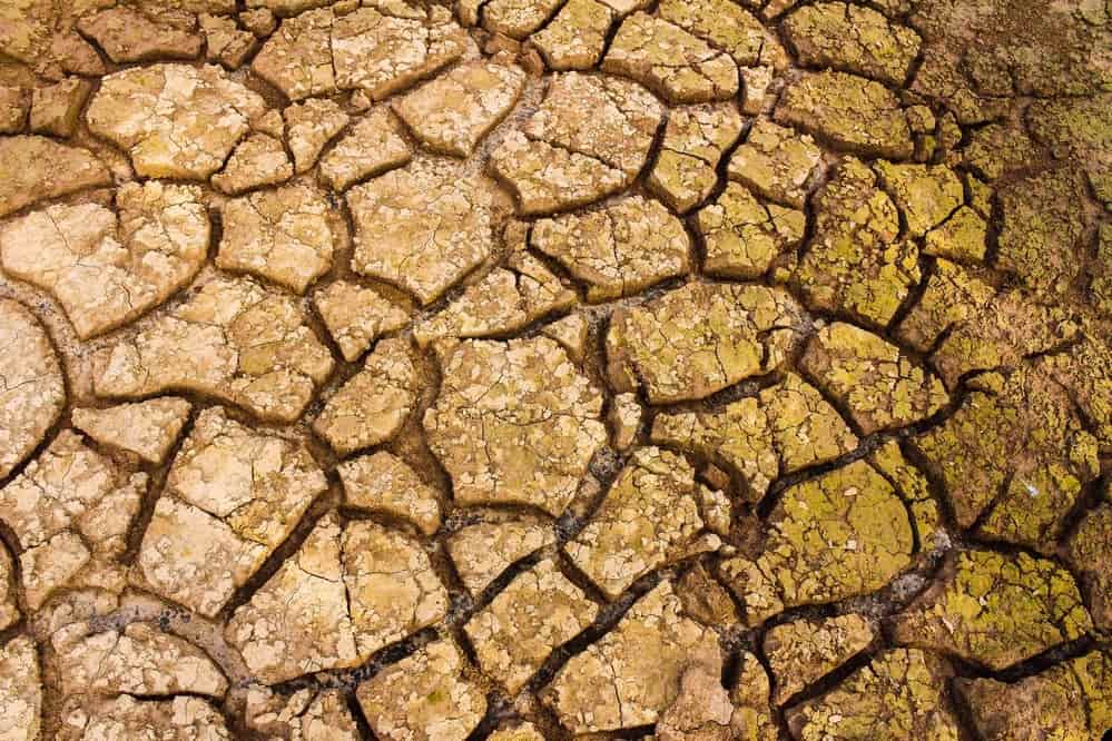 Sécheresse en Thaïlande