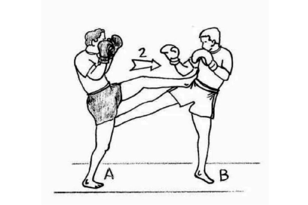 Muay Thaï : les techniques de la boxe thaï avec illustrations