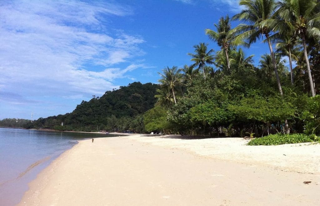 Les 6 touristes européens recherchés par la police en Thaïlande ont été retrouvés