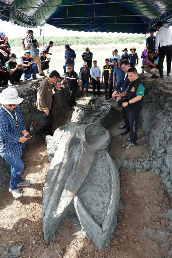 Squelette de baleine d'environ 3 000 à 5 000 ans trouvé en Thaïlande