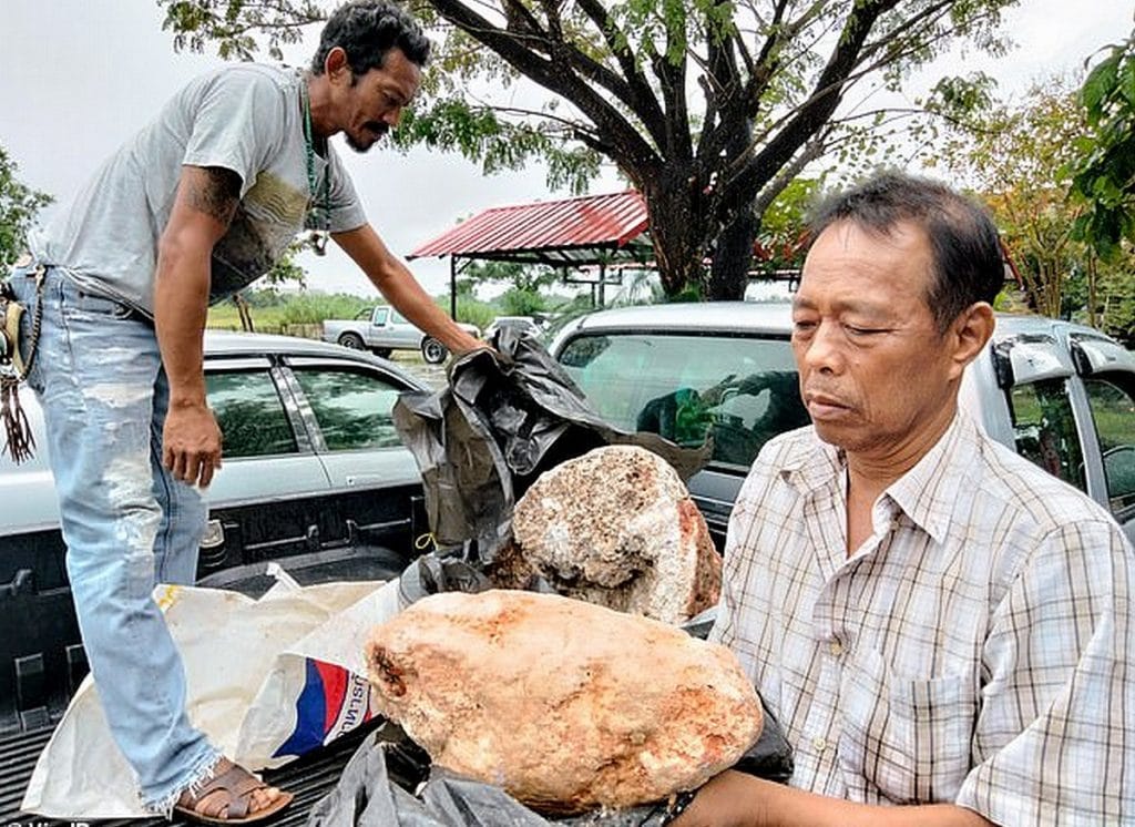 Un pêcheur thaïlandais découvre une goutte de vomi de baleine qui pourrait valoir jusqu'à 2,6 millions d'euros