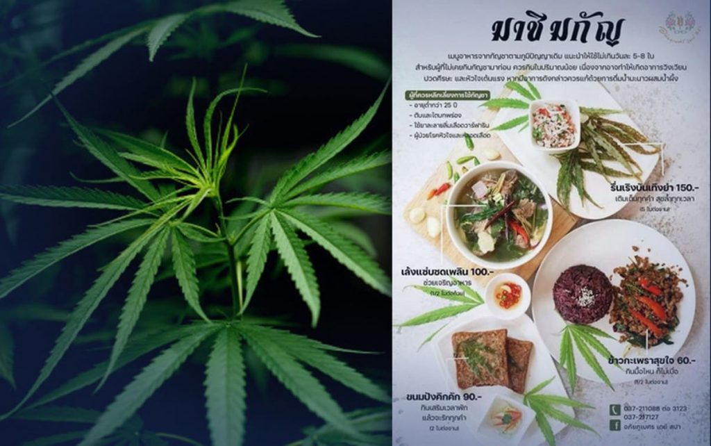 premier restaurant de marijuana