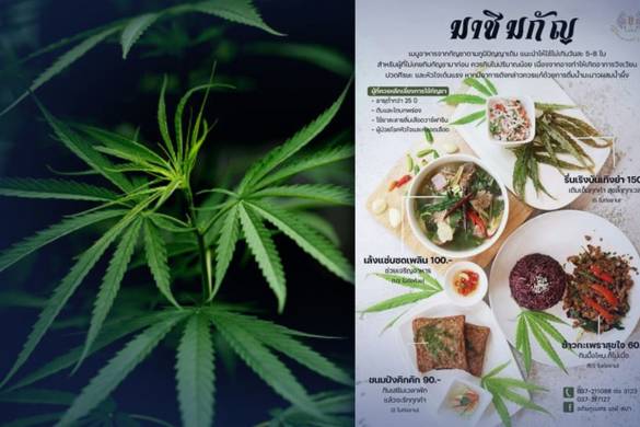 La Thaïlande ouvre son premier restaurant de marijuana