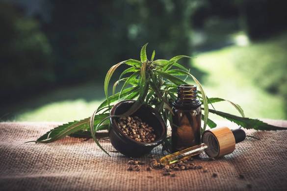 La Thaïlande fait du cannabis sa prochaine culture de rente