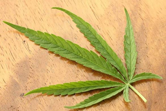 La Thaïlande retire les feuilles de cannabis de la liste des stupéfiants