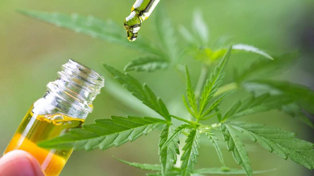 Les Thaïlandais favorables au reclassement du cannabis en stupéfiant
