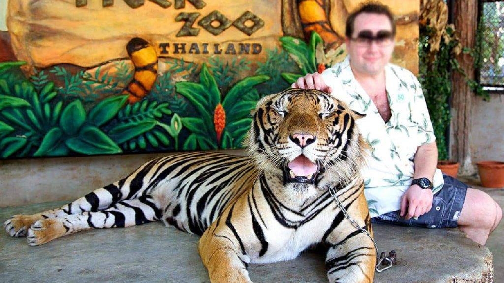 Un selfie avec un tigre tourne mal en Thaïlande : un touriste attaqué