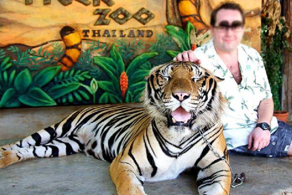 Le zoo de tigre de Sriracha, en Thaïlande, ferme définitivement ses portes