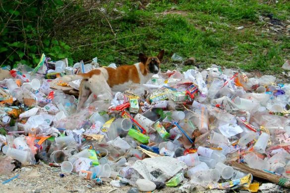 La Thaïlande va interdire les importations de déchets plastiques d&rsquo;ici 2025
